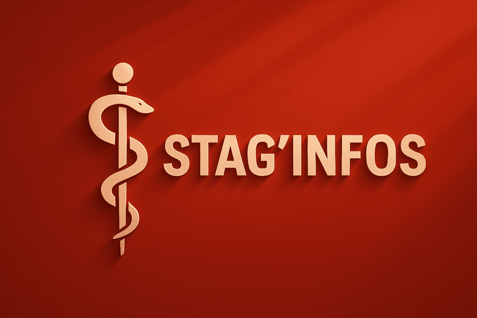 Stag'infos